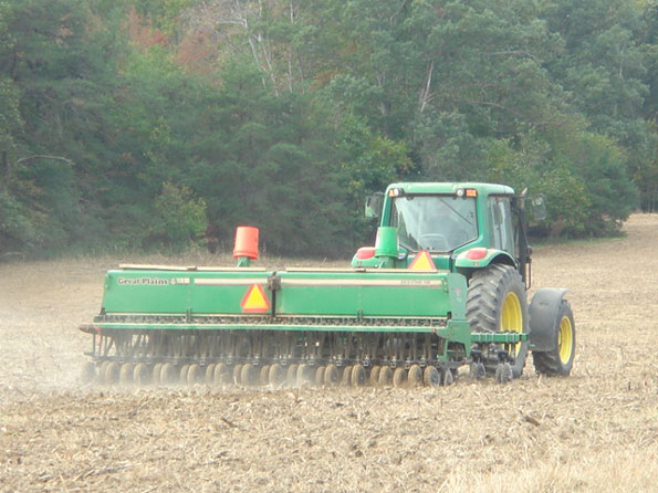 2010 Fall Barley