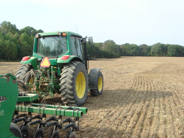 2010 Fall Barley