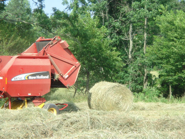 Raking & Bailing Alfalfa Hay