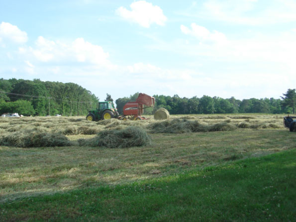 Raking & Bailing Alfalfa Hay