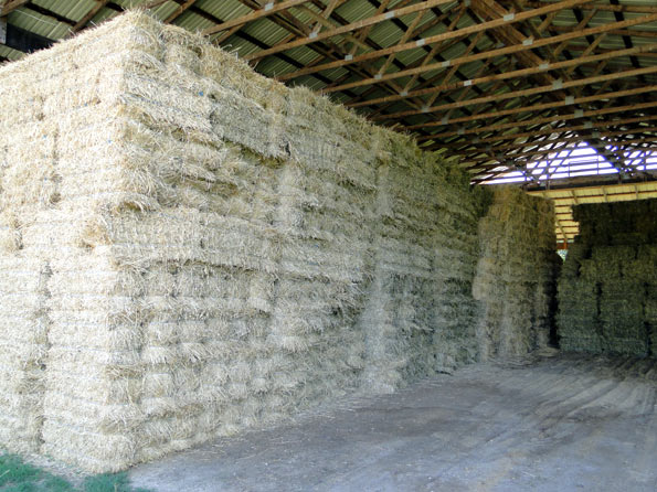 Square Bales