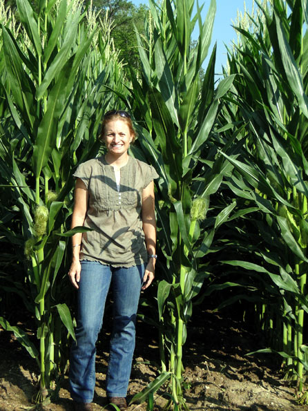 Field Corn (Cathy)