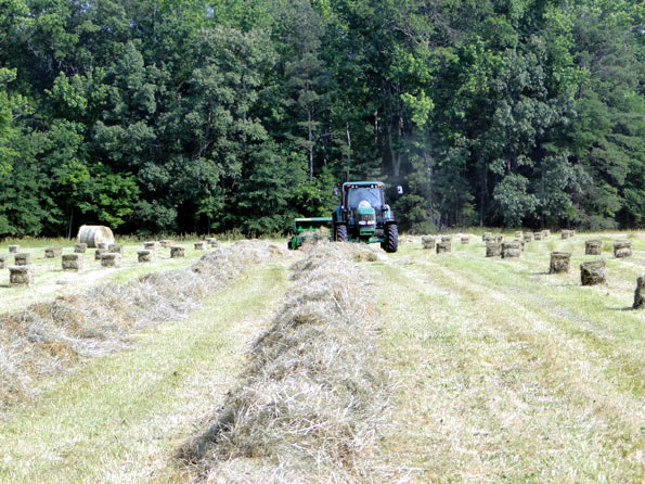 Bailing Hay