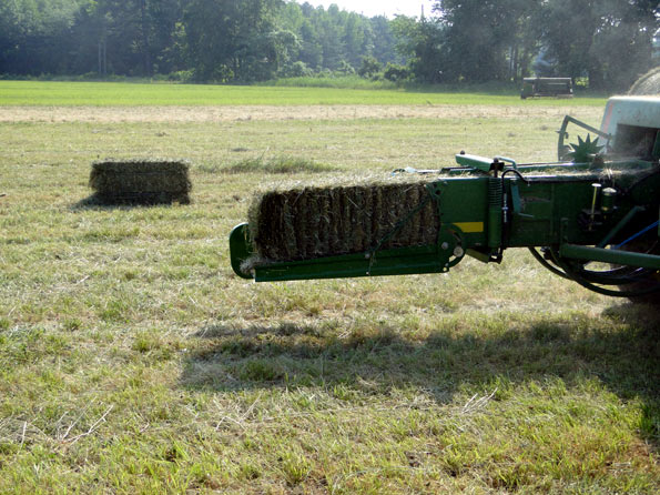 Bailing Hay