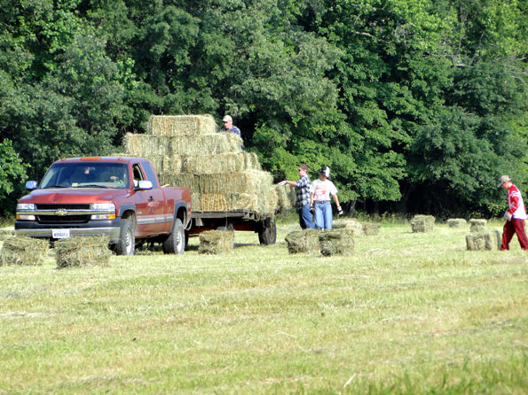 Bailing Hay